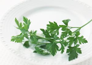 シーズニング業界最小ロットでの提供が可能です